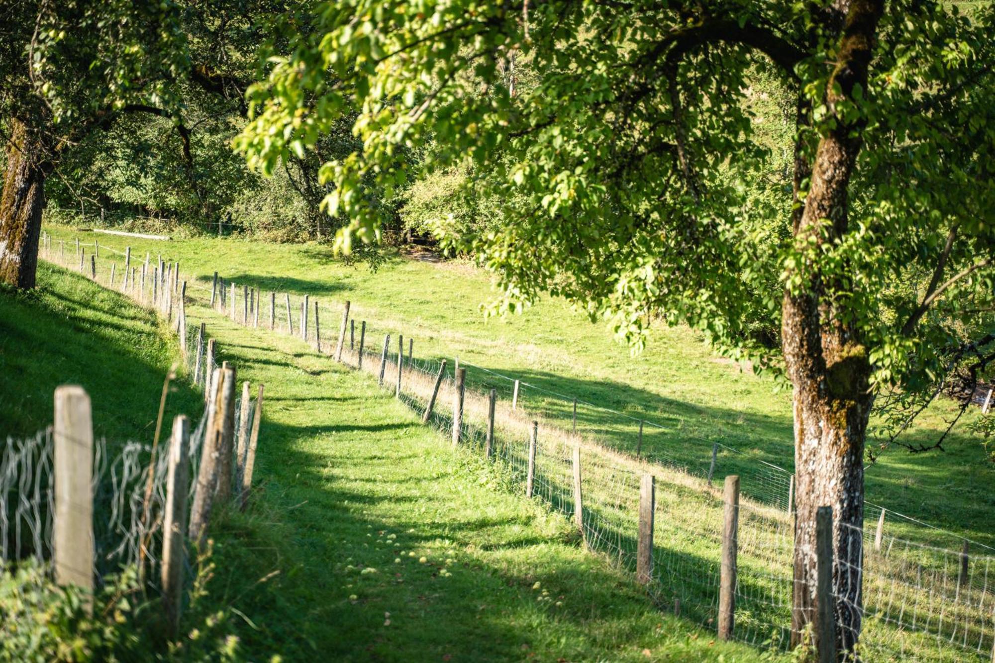 Singerskogel - Ferienhof Und Jausnstub'N ชปิทัล อัม เพิร์ม ภายนอก รูปภาพ