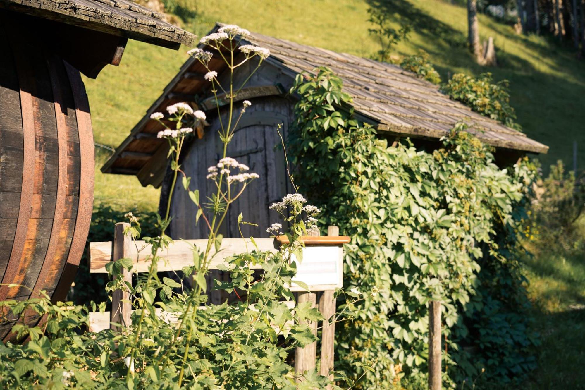 Singerskogel - Ferienhof Und Jausnstub'N ชปิทัล อัม เพิร์ม ภายนอก รูปภาพ