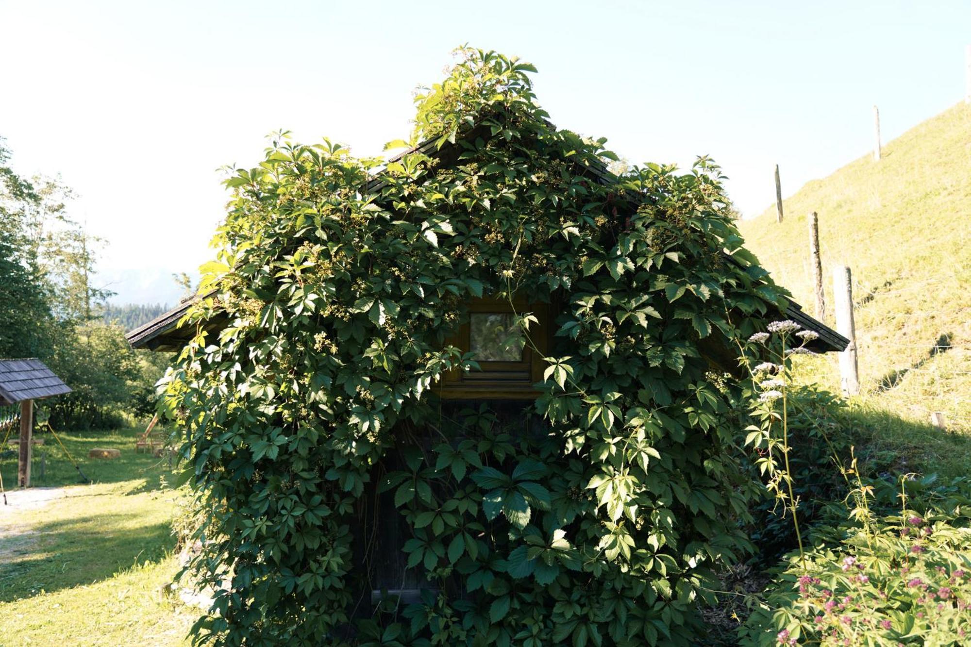 Singerskogel - Ferienhof Und Jausnstub'N ชปิทัล อัม เพิร์ม ภายนอก รูปภาพ